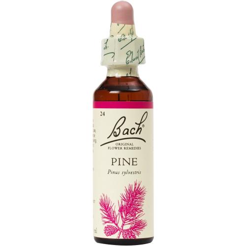 Bach Pine Συμπλήρωμα Διατροφής Ανθοϊάματος με Εκχύλισμα Πεύκου για Καταπολέμηση Συναισθημάτων Ενοχής & Τύψεων 20ml